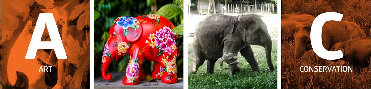 Elephant Parade Main Header