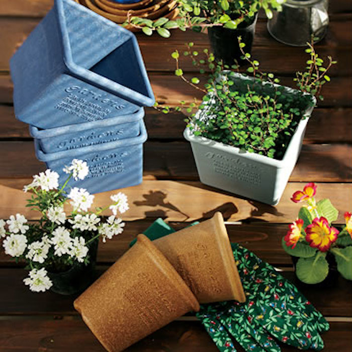 Laura ashley plant pot discount