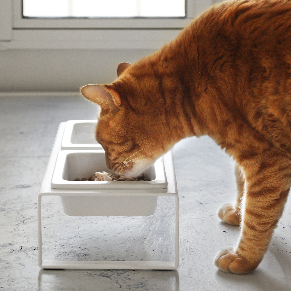 Yamazaki Tower Pet Food Bowl with Stand Tall White homeArama