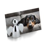 Philippi Place Card And Photo Holder Angelo Design Nickel Mirror Polished Finish With Magnetic Connectors - PH193264