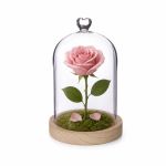 Ideas4Seasons Dome Bell Jar with Heart Top Decal And Wood Base Diameter 12cm Ht18.5cm - ID29363