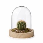 Ideas4Seasons Dome Bell Jar With Wooden Base Diameter 10cm Ht10cm - ID29421