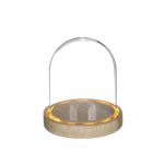 Ideas4Seasons Dome Bell Jar With LED Lit Wooden Base Diameter 12cm Ht13.5cm - ID29492