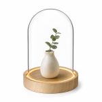 Ideas4Seasons Dome Bell Jar With LED Lit Wooden Base Diameter 12cm Ht13.5cm - ID29493