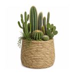Ideas4Seasons Pot In Ceramic Palma Design Large Size - ID38459