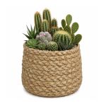 Ideas4Seasons Pot In Ceramic Ibiza Design Small Size - ID38468