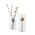 Philippi Vase For Arranging Stems In Borosilicate Glass Giardino Design Small Ht 20cm Only - PH294001