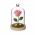 Ideas4Seasons Dome Bell Jar with Heart Top Decal And Wood Base Diameter 12cm Ht18.5cm - ID29363