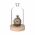 Ideas4Seasons Dome Bell Jar with Heart Top Decal And Wood Base Diameter 10cm Ht18.0cm - ID29368