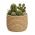 Ideas4Seasons Pot In Ceramic Palma Design Small Size - ID38458