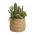 Ideas4Seasons Pot In Ceramic Palma Design Large Size - ID38459