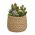 Ideas4Seasons Pot In Ceramic Ibiza Design Small Size - ID38468