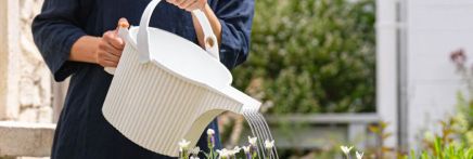 Hachiman Watering Cans