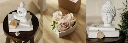 Rader Decor