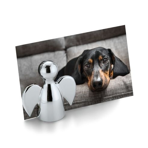 Philippi Place Card And Photo Holder Angelo Design Nickel Mirror Polished Finish With Magnetic Connectors - PH193264