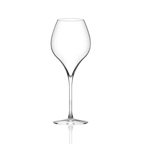 Italesse Masterclass No 22 Standard Champagne Flute Glass With Perlage Points 228cc in a Box of 6 - IT3389S