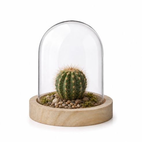 Ideas4Seasons Dome Bell Jar With Wooden Base Diameter 10cm Ht10cm - ID29421
