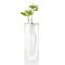 Philippi Vase Esmeralda Design With Mouthblown Glass Tube Large Size - PH149004