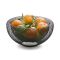 Philippi Bowl Mesh Design Steel Powder Coated Steel 25cm Diameter Large Size - PH153002