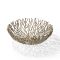 Philippi Bowl In Coral Design In Aluminium With Brass Antique Finish - PH300129