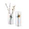 Philippi Vase For Arranging Stems In Borosilicate Glass Giardino Design Large Ht 25cm Only - PH294002