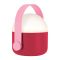 Remember Rechargeable Portable LED Lamp With Carry Handle OLE Design Pink Colour Small - RELO05