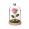 Ideas4Seasons Dome Bell Jar with Heart Top Decal And Wood Base Diameter 12cm Ht18.5cm - ID29363