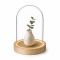 Ideas4Seasons Dome Bell Jar With LED Lit Wooden Base Diameter 12cm Ht13.5cm - ID29493