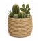 Ideas4Seasons Pot In Ceramic Palma Design Small Size - ID38458