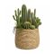 Ideas4Seasons Pot In Ceramic Palma Design Large Size - ID38459